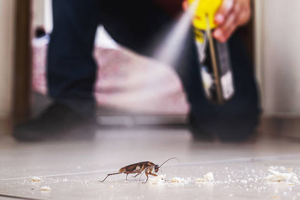 Diberville, MS Pest Control Company